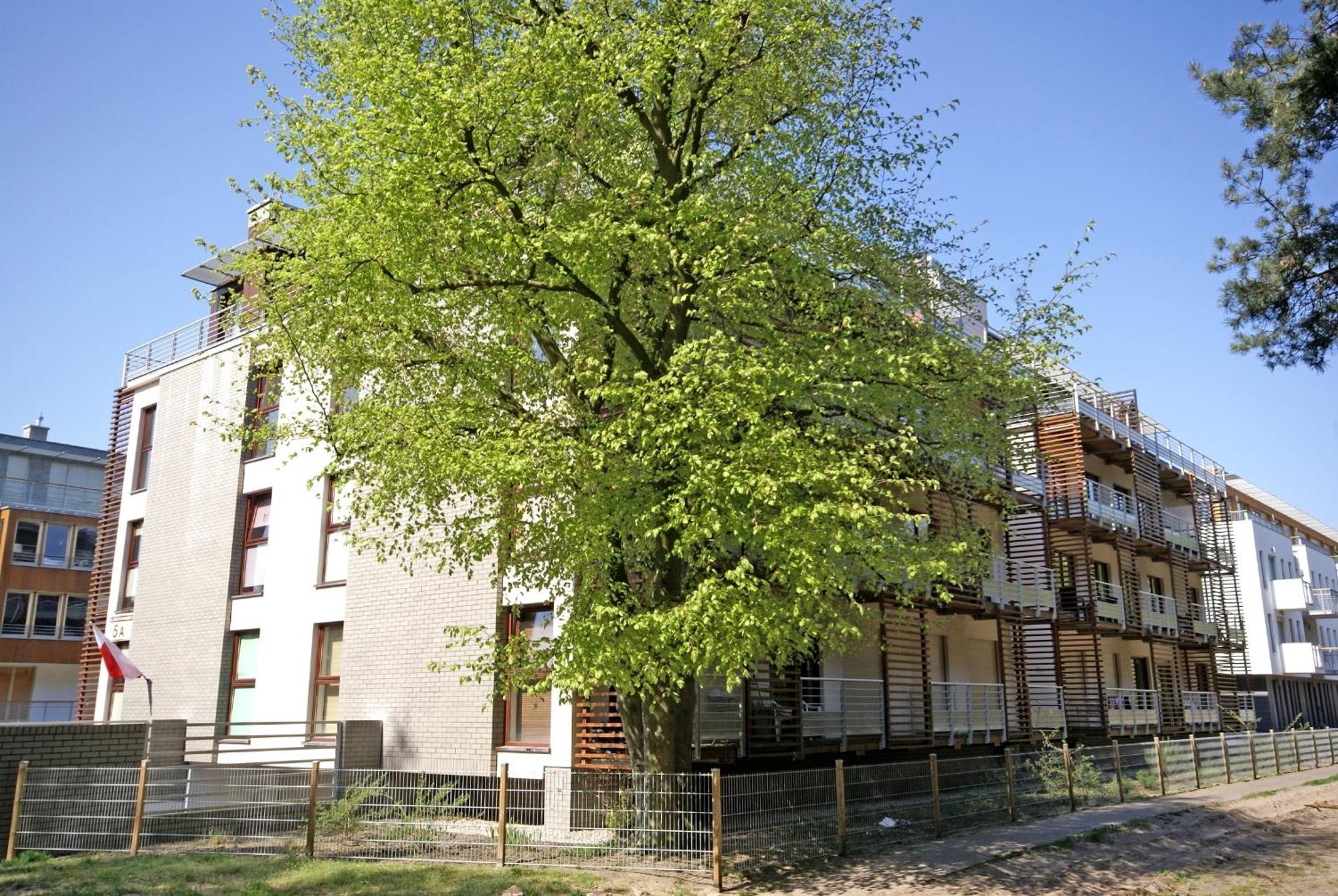 Apartamenty Swinoujscie - Zacisze Lesne エクステリア 写真